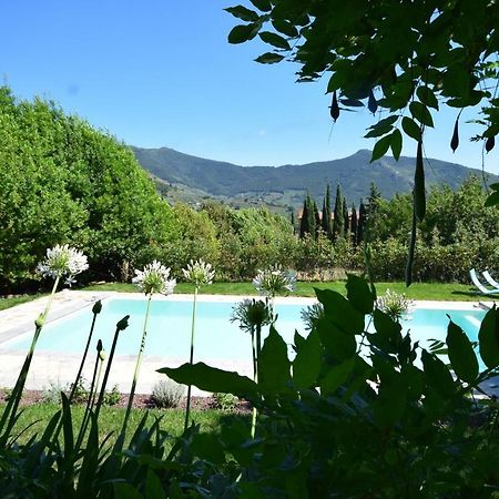 Al Palazzaccio Villa Calci Eksteriør billede