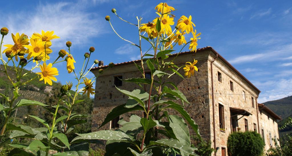 Al Palazzaccio Villa Calci Værelse billede