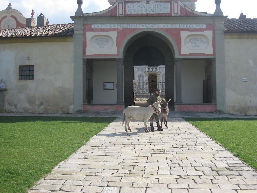 Al Palazzaccio Villa Calci Eksteriør billede